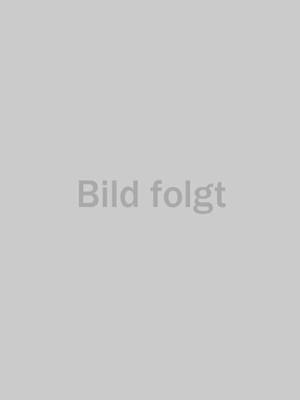 Inhalte folgen in Kürze